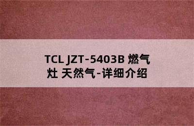 TCL JZT-5403B 燃气灶 天然气-详细介绍